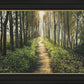 Enjoy The Beauty On Your Broken Path, Forest Walkway