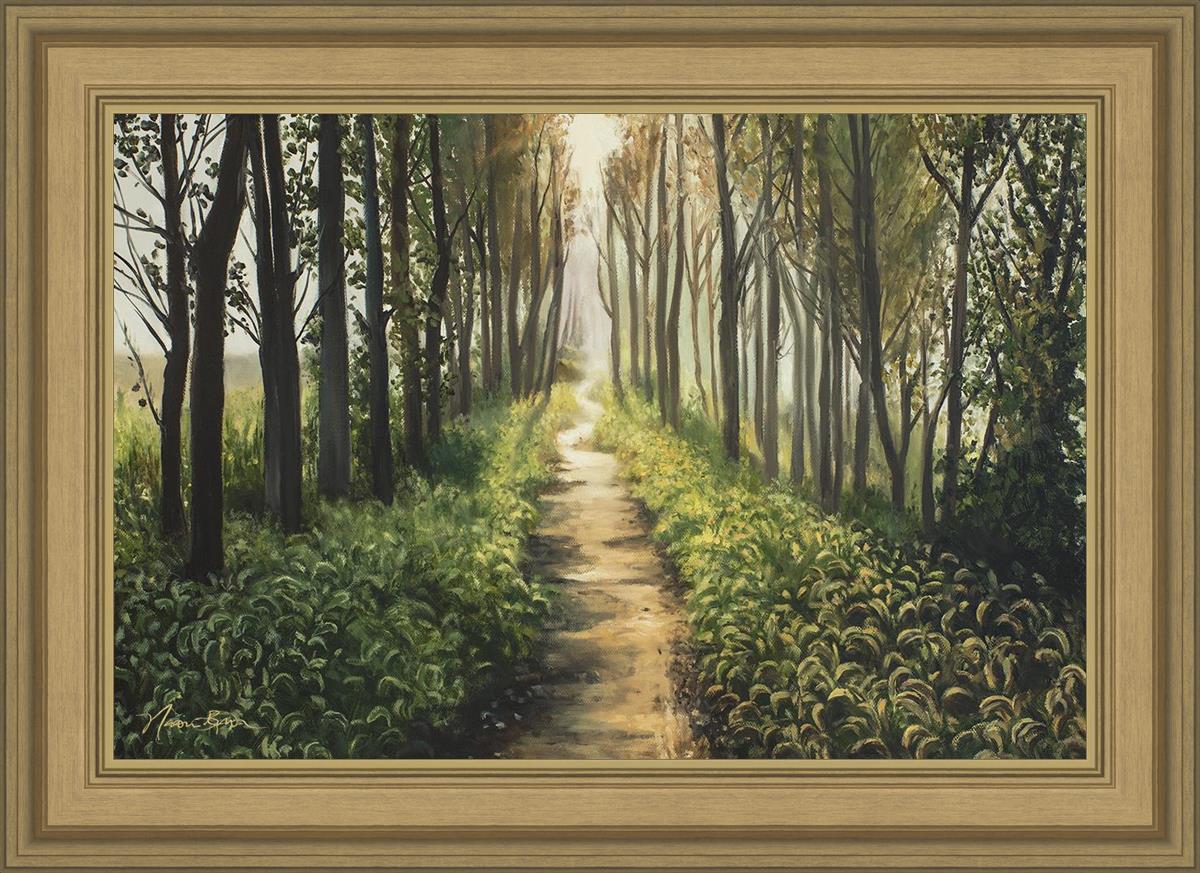 Enjoy The Beauty On Your Broken Path, Forest Walkway