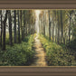 Enjoy The Beauty On Your Broken Path, Forest Walkway