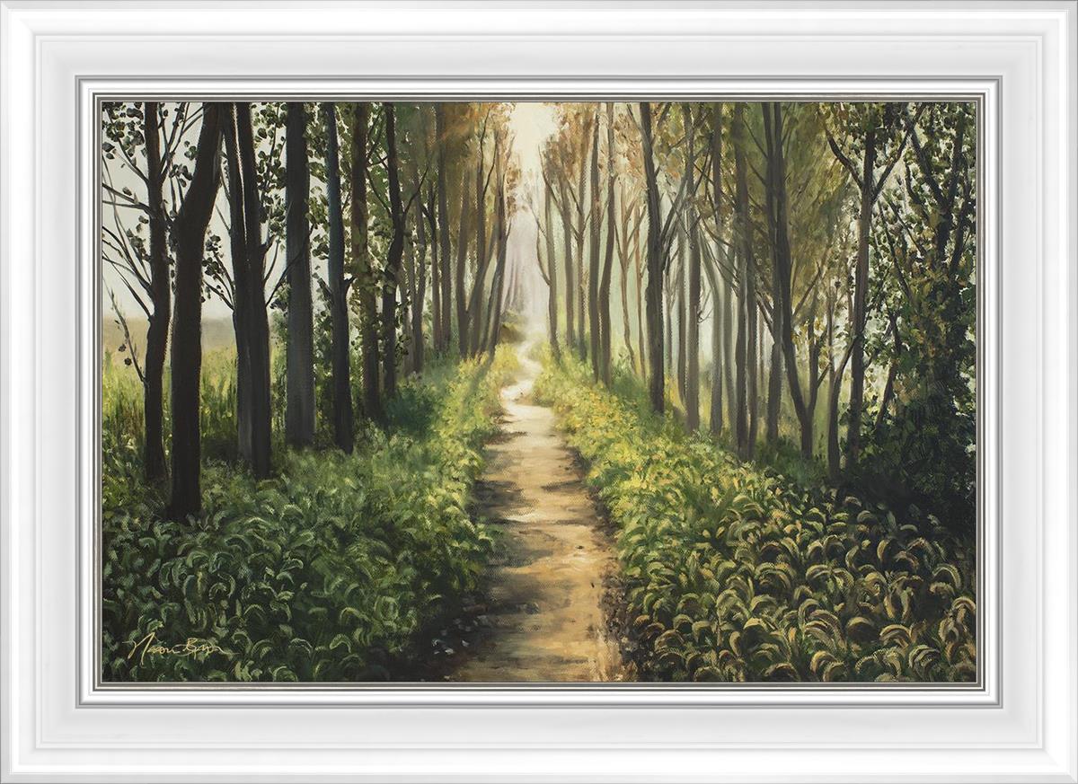 Enjoy The Beauty On Your Broken Path, Forest Walkway