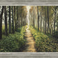 Enjoy The Beauty On Your Broken Path, Forest Walkway
