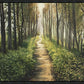 Enjoy The Beauty On Your Broken Path, Forest Walkway