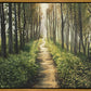 Enjoy The Beauty On Your Broken Path, Forest Walkway