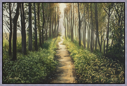 Enjoy The Beauty On Your Broken Path, Forest Walkway