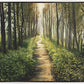 Enjoy The Beauty On Your Broken Path, Forest Walkway