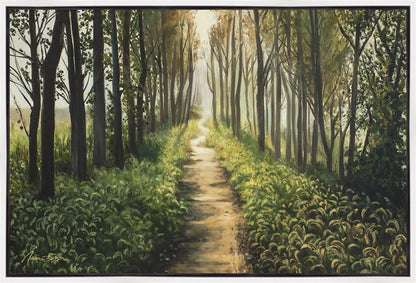 Enjoy The Beauty On Your Broken Path, Forest Walkway