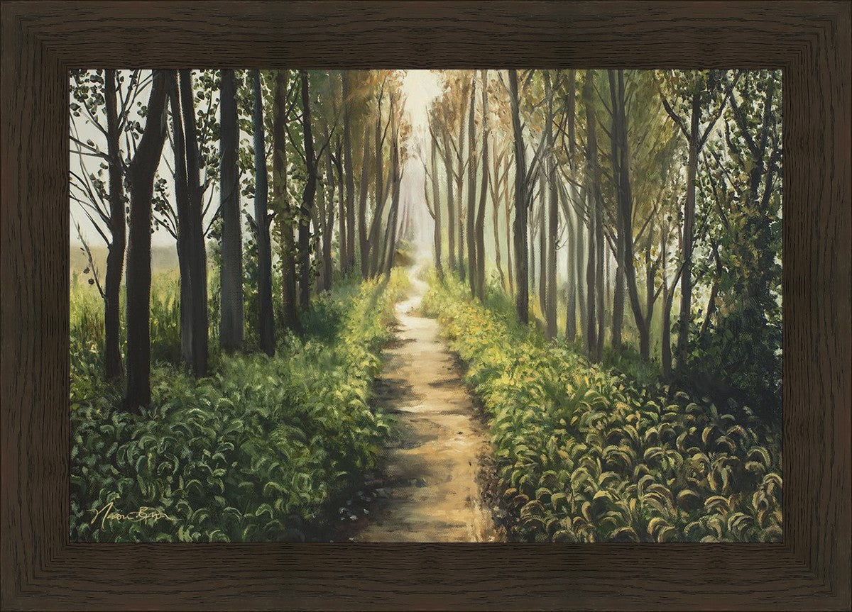 Enjoy The Beauty On Your Broken Path, Forest Walkway