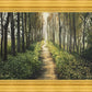 Enjoy The Beauty On Your Broken Path, Forest Walkway