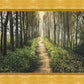 Enjoy The Beauty On Your Broken Path, Forest Walkway