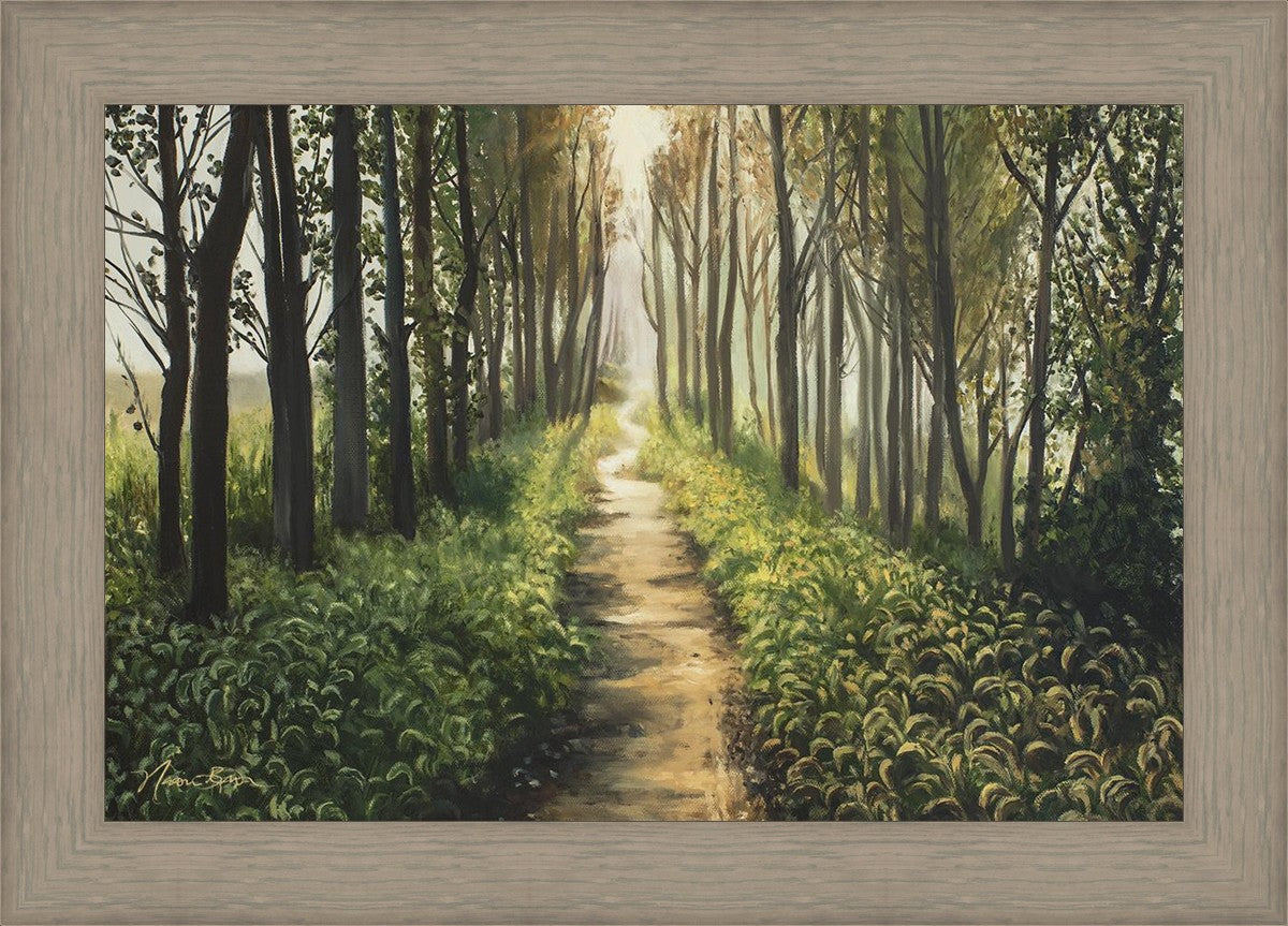 Enjoy The Beauty On Your Broken Path, Forest Walkway