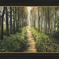 Enjoy The Beauty On Your Broken Path, Forest Walkway