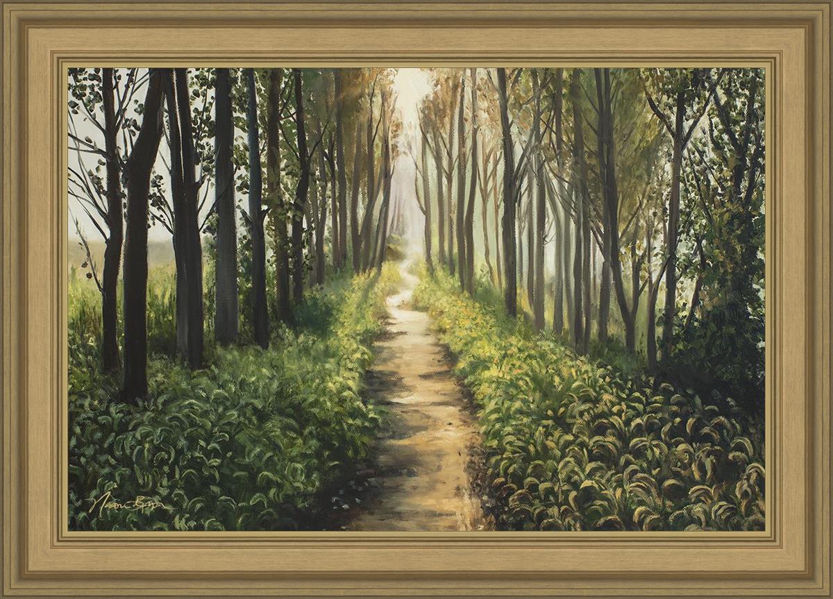 Enjoy The Beauty On Your Broken Path, Forest Walkway