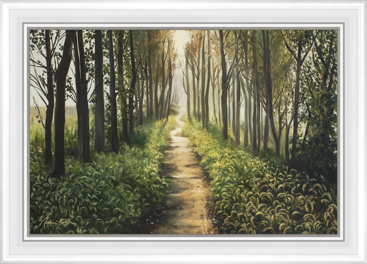 Enjoy The Beauty On Your Broken Path, Forest Walkway