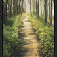 Enjoy The Beauty On Your Broken Path, Forest Walkway