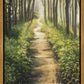 Enjoy The Beauty On Your Broken Path, Forest Walkway