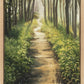 Enjoy The Beauty On Your Broken Path, Forest Walkway