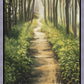 Enjoy The Beauty On Your Broken Path, Forest Walkway