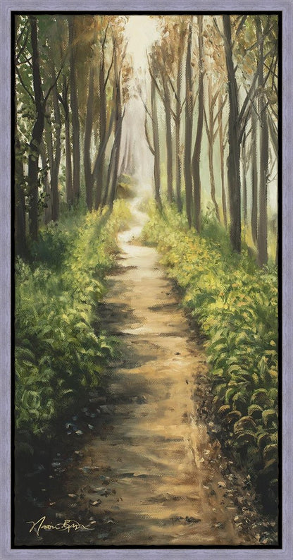 Enjoy The Beauty On Your Broken Path, Forest Walkway