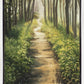 Enjoy The Beauty On Your Broken Path, Forest Walkway