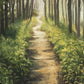 Enjoy The Beauty On Your Broken Path, Forest Walkway