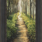Enjoy The Beauty On Your Broken Path, Forest Walkway