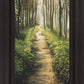 Enjoy The Beauty On Your Broken Path, Forest Walkway