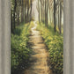 Enjoy The Beauty On Your Broken Path, Forest Walkway