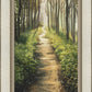 Enjoy The Beauty On Your Broken Path, Forest Walkway