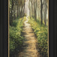 Enjoy The Beauty On Your Broken Path, Forest Walkway