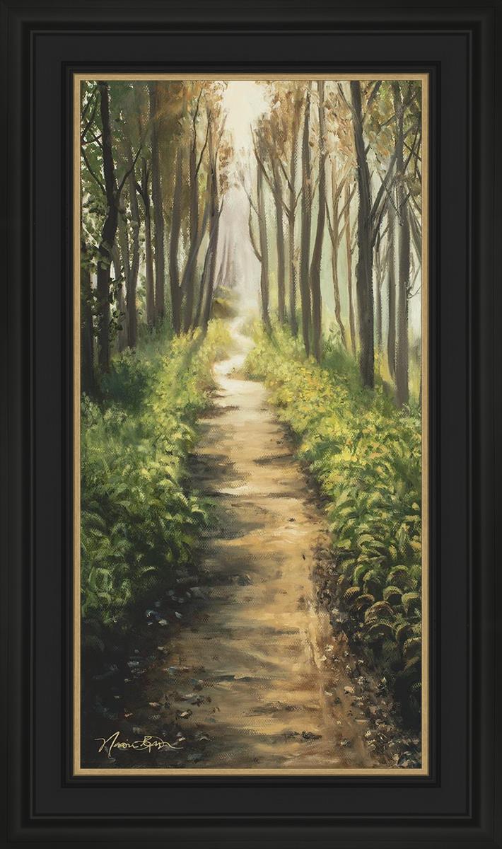 Enjoy The Beauty On Your Broken Path, Forest Walkway