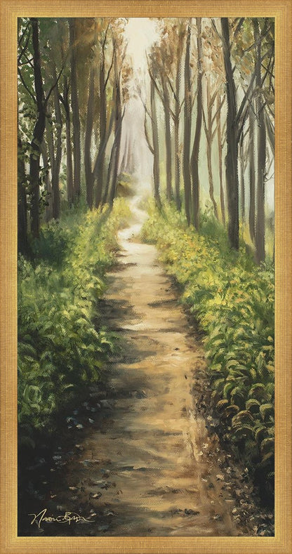 Enjoy The Beauty On Your Broken Path, Forest Walkway