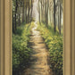 Enjoy The Beauty On Your Broken Path, Forest Walkway