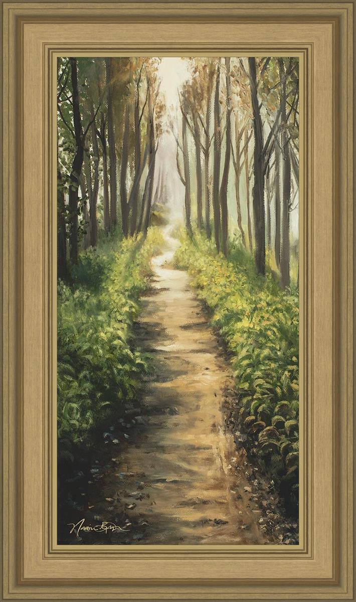 Enjoy The Beauty On Your Broken Path, Forest Walkway