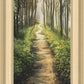 Enjoy The Beauty On Your Broken Path, Forest Walkway