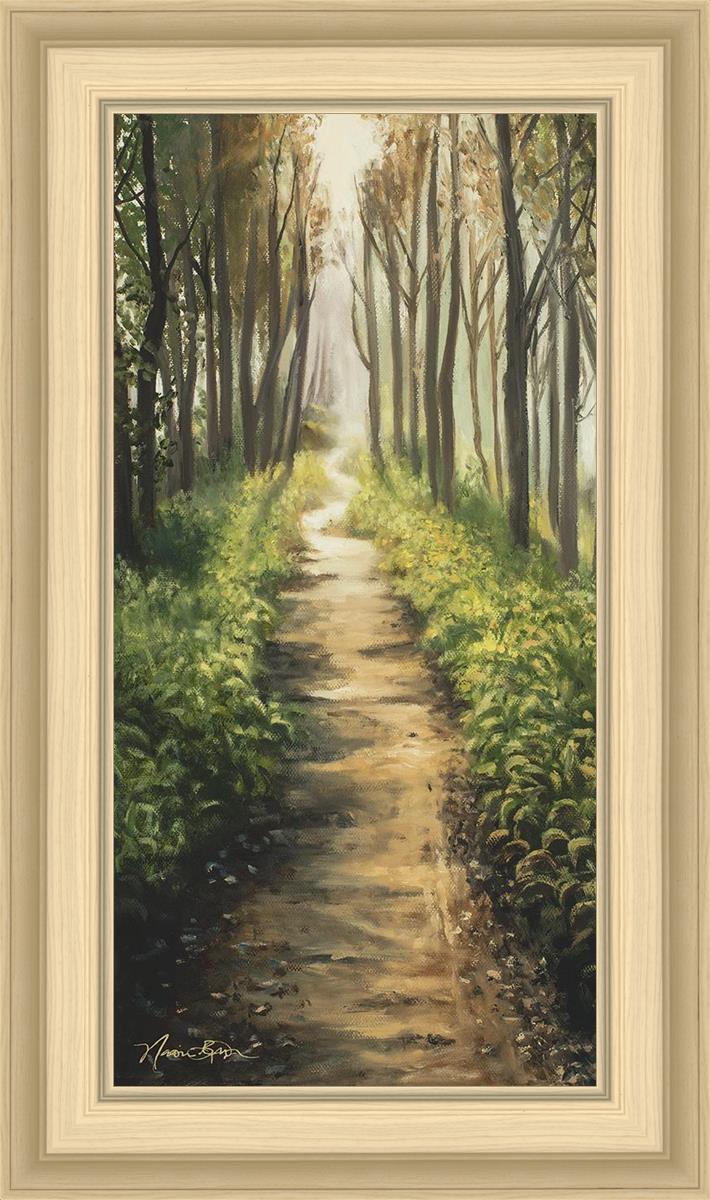 Enjoy The Beauty On Your Broken Path, Forest Walkway
