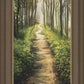 Enjoy The Beauty On Your Broken Path, Forest Walkway