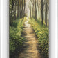 Enjoy The Beauty On Your Broken Path, Forest Walkway