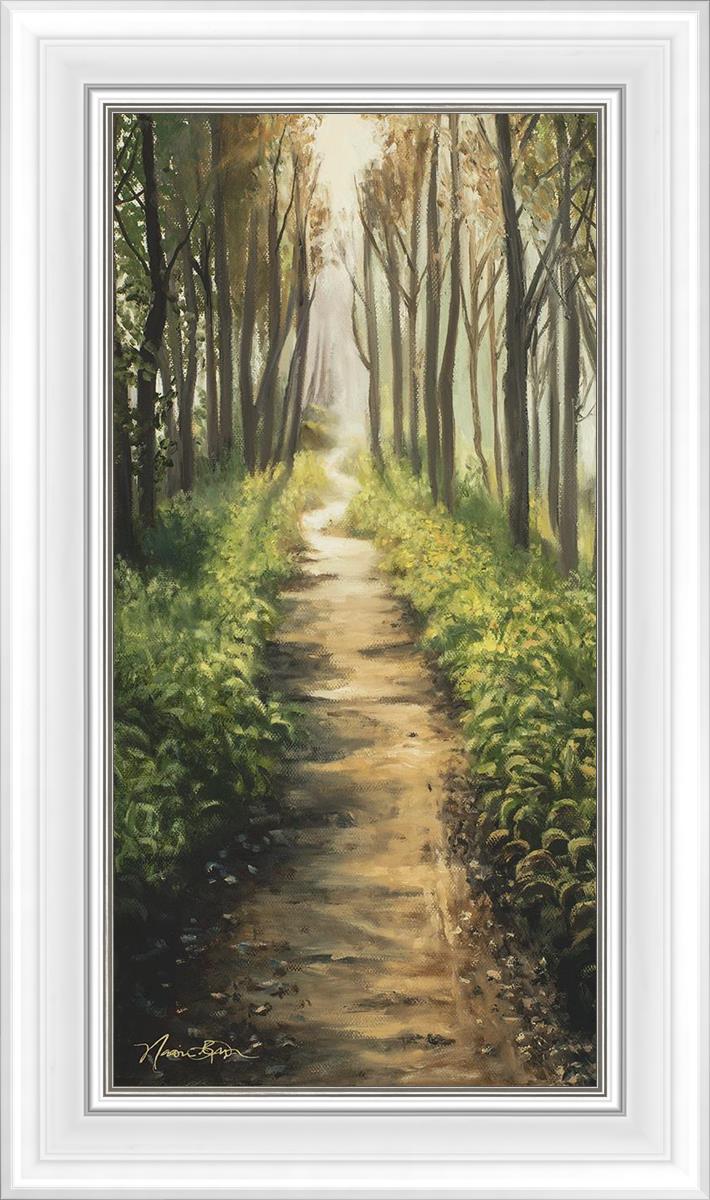 Enjoy The Beauty On Your Broken Path, Forest Walkway