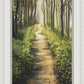 Enjoy The Beauty On Your Broken Path, Forest Walkway