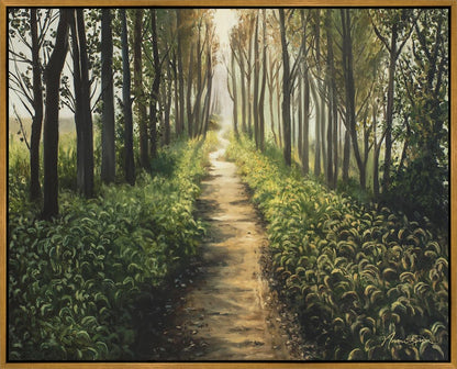 Enjoy The Beauty On Your Broken Path, Forest Walkway