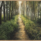 Enjoy The Beauty On Your Broken Path, Forest Walkway
