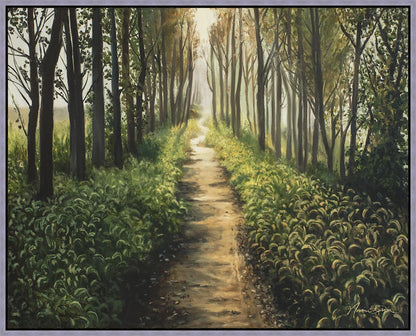 Enjoy The Beauty On Your Broken Path, Forest Walkway