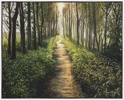 Enjoy The Beauty On Your Broken Path, Forest Walkway