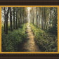 Enjoy The Beauty On Your Broken Path, Forest Walkway
