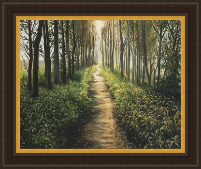 Enjoy The Beauty On Your Broken Path, Forest Walkway