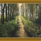 Enjoy The Beauty On Your Broken Path, Forest Walkway
