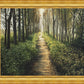 Enjoy The Beauty On Your Broken Path, Forest Walkway