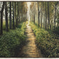 Enjoy The Beauty On Your Broken Path, Forest Walkway
