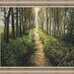 Enjoy The Beauty On Your Broken Path, Forest Walkway