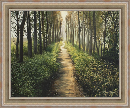 Enjoy The Beauty On Your Broken Path, Forest Walkway